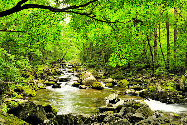 schöne Naturlandschaft in Bayern